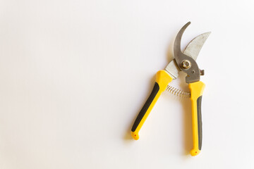 Pruning scissors. Garden trimmer. Scissors for working in the garden with various layouts isolated on a white background.