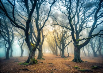 Leafless, gnarled trees standing in a mist-filled forest, creating a mystical and eerie atmosphere on a foggy day.