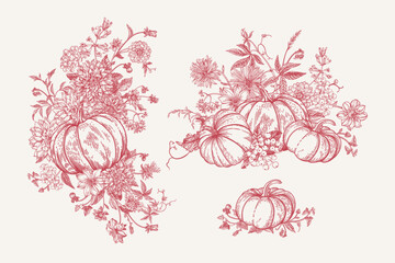 Set with pumpkins and flowers. Floral arrangements. Engraving style. Red.