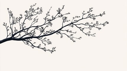 Decorative branches of a tree for enhancing your design