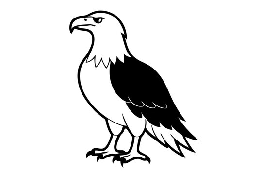 recommend clip art: Eagle Silhouette | isolated vector silhouette illustration on white background