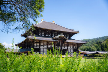 The historic Todaiji Temple in Nara, Japan, stands majestically against a clear blue sky, surrounded by lush greenery, showcasing traditional Japanese architecture and cultural heritage.