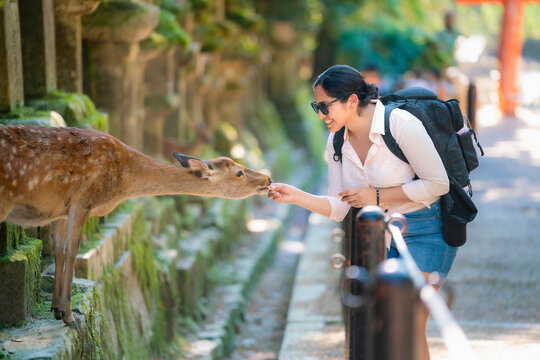 A smiling Latina tourist feeds a deer by the stone lanterns of Kasuga Taisha Shrine in Nara, Japan. She enjoys a peaceful moment, dressed casually with a backpack in the historic setting.
