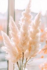 Fluffy White Pampas Grass Bouquet in Sunlight