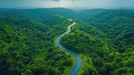 aerial view of sustainable infrastructure project showcasing road winding through lush green forest emphasizing eco friendly and environmentally conscious development