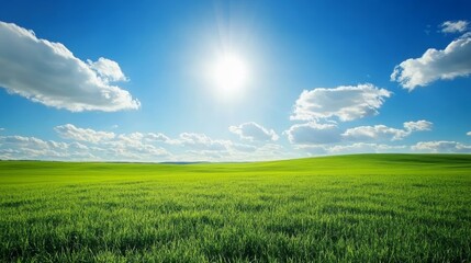 Obraz premium Lush green field under breathtaking blue sky serene landscape photo serene