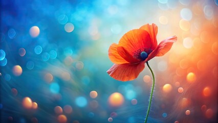 Artistic red poppy flower on ethereal blue and orange bokeh background minimalist