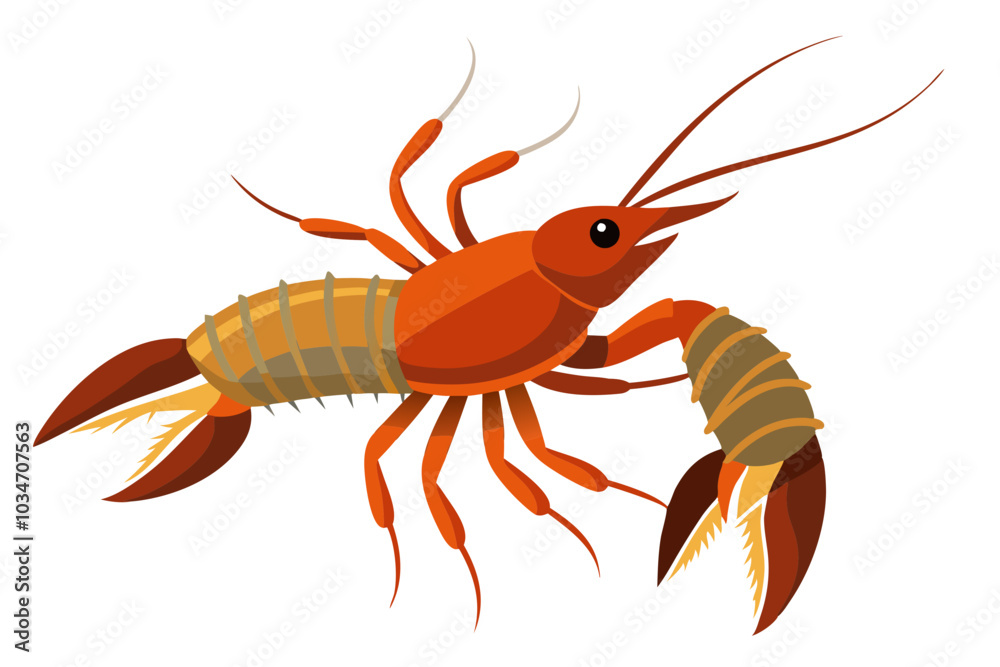 Canvas Prints river lobster isolated on the white background vector illustration