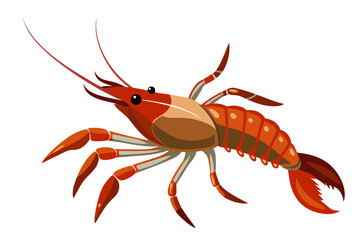 river lobster isolated on the white background vector illustration