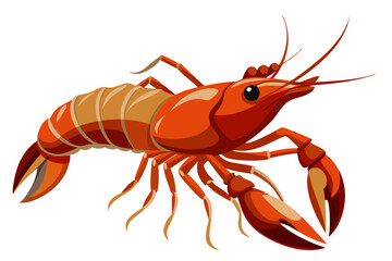 river lobster isolated on the white background vector illustration