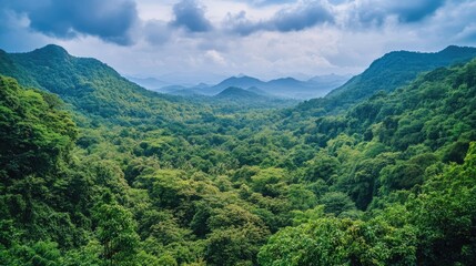 Fototapeta premium Scenic view of a natural landscape with lush greenery and vibrant colors showcasing the beauty of the outdoors