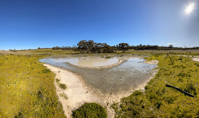 After recent rain, a waterhole in the surprisingly green Victorian Big Desert