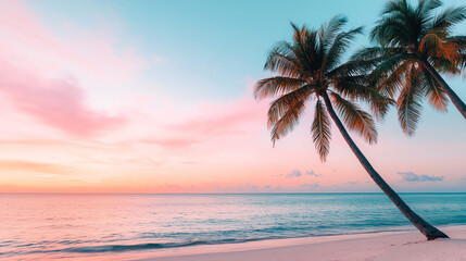 Fototapeta na wymiar Tropical beach with palm trees at sunset