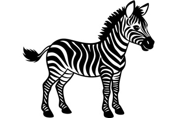 Illustration of standing cute zebra foal