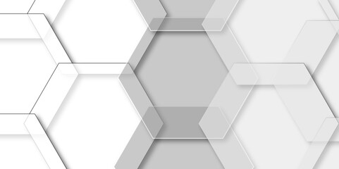 Abstract background with white, gray hexagons. luxury emboss honeycomb white, gray pattern shadow polygonal square web connection. Hexagonal 3d vector grid tile and mosaic structure mess cell. 