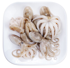 Fresh Baby Octopus in white plate on white background, Raw Baby Octopus  seafood isolate on white PNG File.