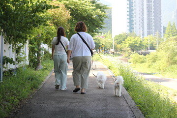 Image of people walking on Daecheongcheon Trail