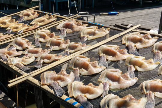 The process of making salted fish or dried fish from South Kalimantan, Indonesia, which is dried in the sun.