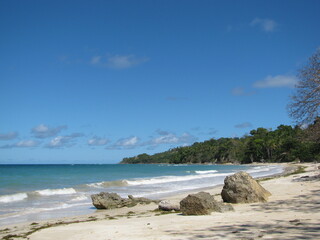 Bright Day and Ocean Bliss
