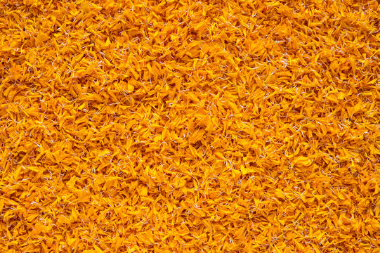 Orange color marigold petals background for Diwali festival.