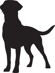 Detailed Black Silhouette of a Labrador Retriever Dog in Vector