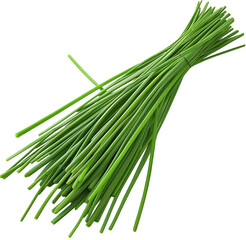Fototapeta premium Fresh Chives vegetable isolated Design - Chives Plant illustration on a white background