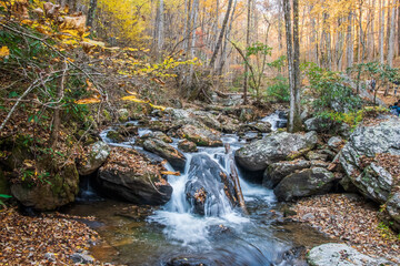 Watching a stream flow is like watching time itself—steady, continuous, and full of purpose, Anna Ruby Falls, Helen, Georgia, United States of America