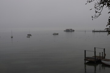 Morgenstimmung am Bodensee bei Konstanz im Nebel Morgennebel