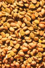 Coffee beans,In the ferment and wash method of wet processing