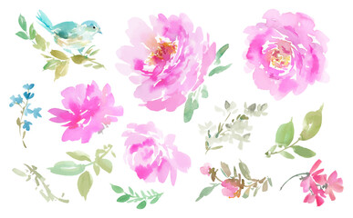 Watercolor Illustration Set of pink Peonies, Wildflowers, and a Blue Bird for Background	
