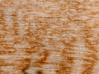 The background texture of aged teak wood reveals deep, rich brown hues, with the natural grain beautifully accentuated. The fibers show signs of wear from frequent exposure to water.