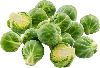 Fototapeta premium Fresh Brussels sprout vegetable isolated Design - Brussels sprout illustration on a white background