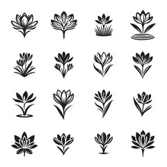 Vector Silhouette of Saffron Flower Icons - Logo Design Set for Branding

