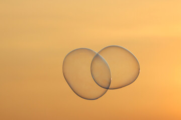 Soap bubbles floating in the air during sunset.