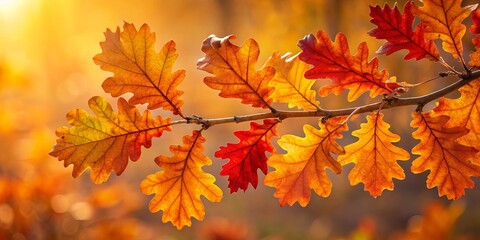 A delicate branch adorned with vibrant autumn leaves, each showcasing a unique shade of orange and red, bathed in the soft glow of the setting sun.
