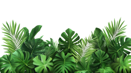 A festive frame of palm leaves and trees, blending tropical vibes with holiday cheer for a cheerful winter celebration