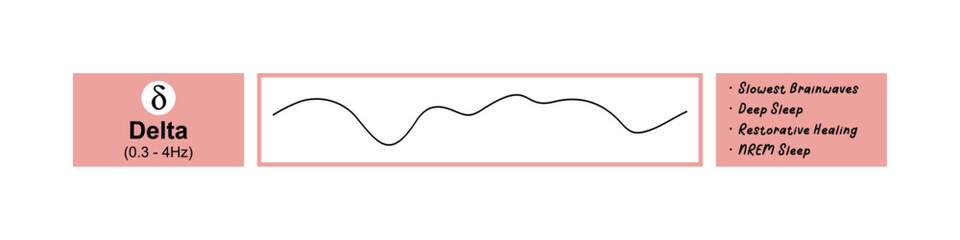 Delta waves - Brainwave activity graph, The impact on sleep and wakefulness.
