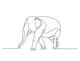 Continuous one line drawing of walking elephant. Elephant single line art vector illustration. Editable vector.