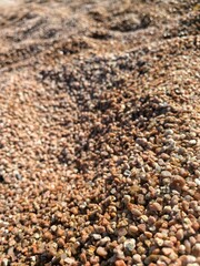 Naklejka premium Detailed Close-up of Beach Sand Texture, Highlighting Intricate Shapes, Rich Color Variations, Perfect for Graphic Design Projects and Artistic Creations.