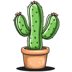 cactus in a pot