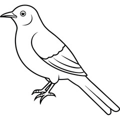 Nevada state bird Adobe Illustrator Artwork