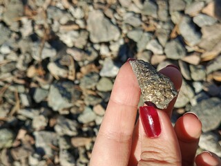 A woman's hand holds a stone with shiny gold flecks. The shiny stone shimmers in the sun. Pebbles on the coast. The background for the advertisement, the place for the text. 