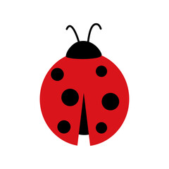 Fototapeta premium Ladybug icon isolate on white background.