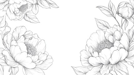 Peony Flower Line Art with Floral Frames and Bouquets Hand drawn Fine Line Illustrations featuring Leaves and Flowers Outline Botanical Coloring Page of Isolated Peony