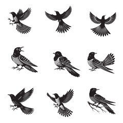 Set of Common Cuckoo silhouette Design - Common Cuckoo vector illustration