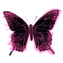 Butterfly in vintage retro photocopy grunge collage style vintage, pink halftone texture, grain effect, dotted pop art. Isolated clip art design element
