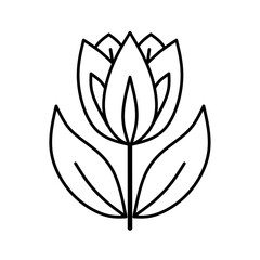 black and white flower