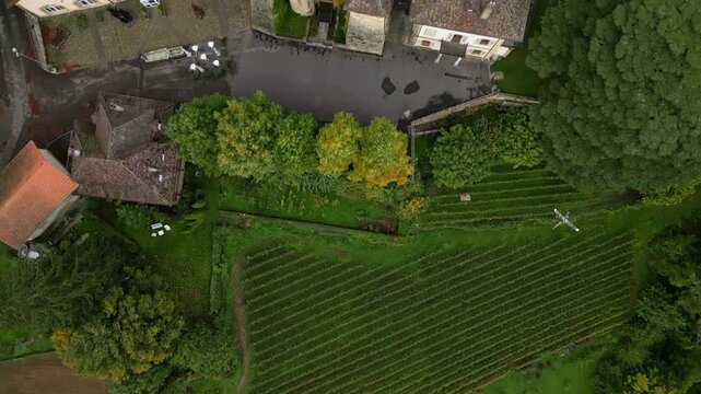Bird's eye view of Vaumarcus Castle in Canton of Neuchatel Switzerland