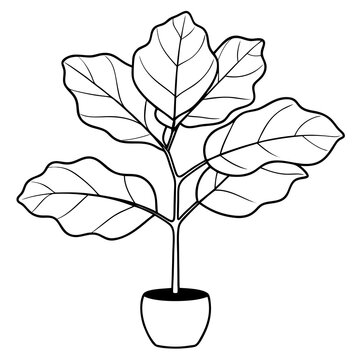 black and white fiddle leaf fig plant clip art preview