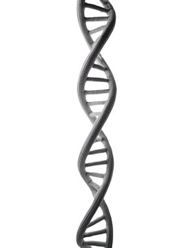 DNA double helix structure, isolated on white background.